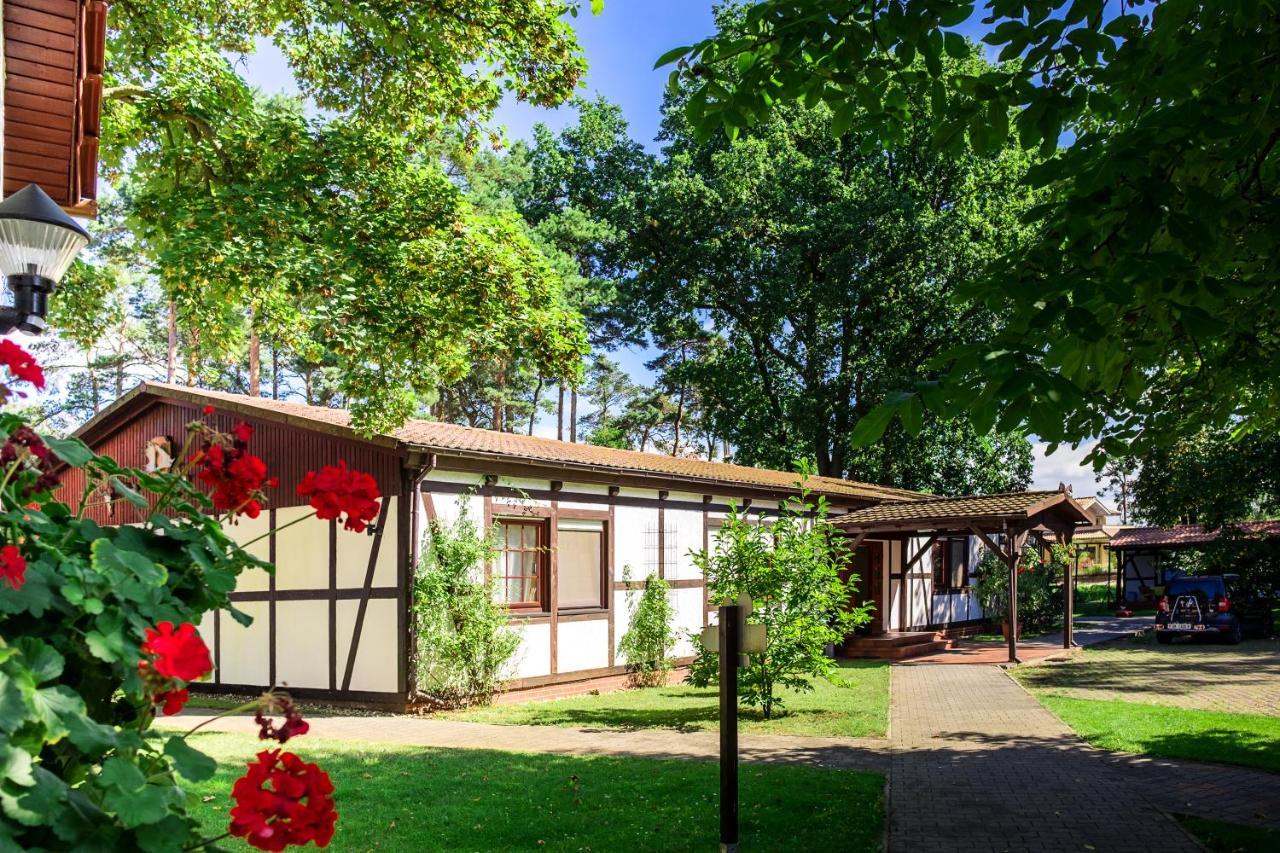 Hotel & Restaurant Lindengarten Lübben Dış mekan fotoğraf